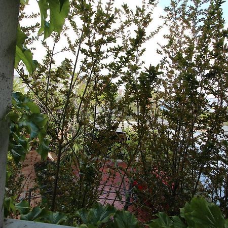 Paraiso Rooms Coliving Madri Exterior foto